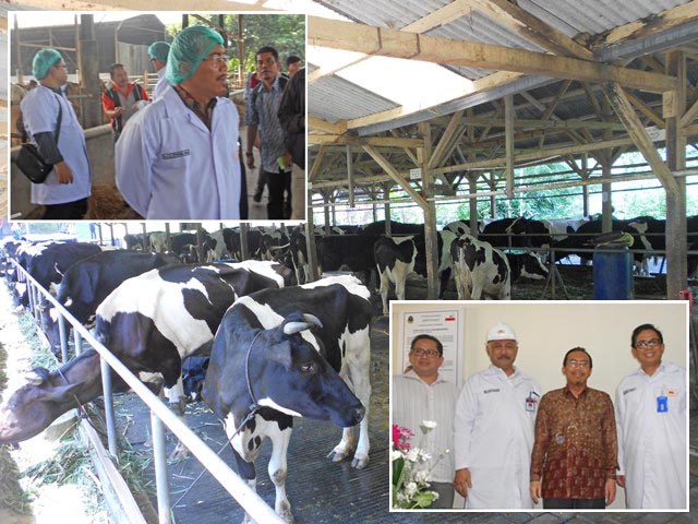 Mentan Tinjau Rumah Potong Hewan di Subang